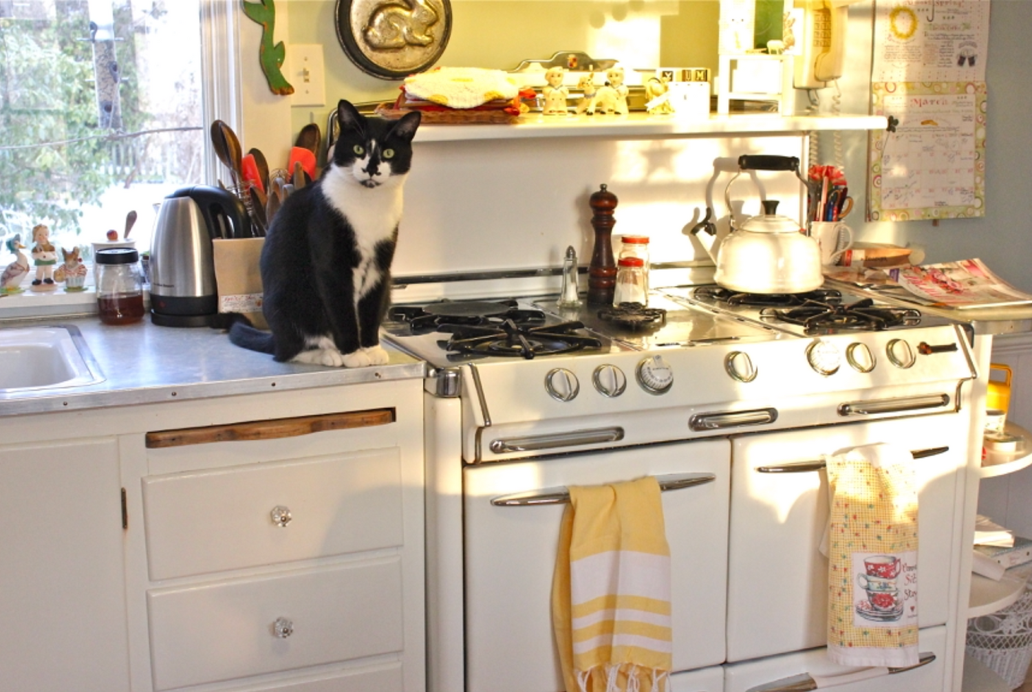 Vineyard Kitchen