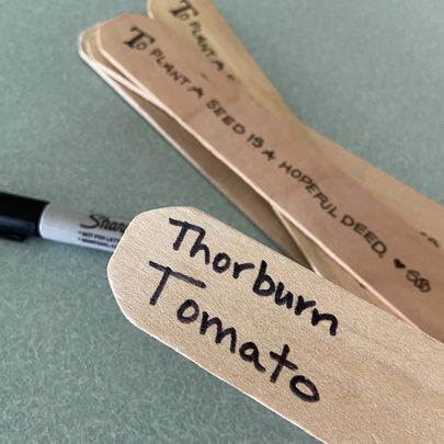 Garden Stakes