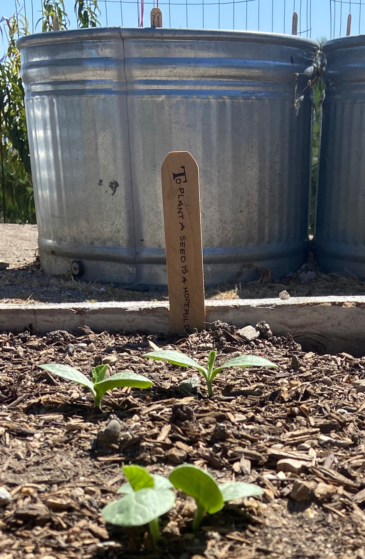 Garden Stakes