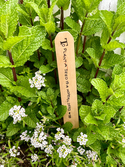 Garden Stakes