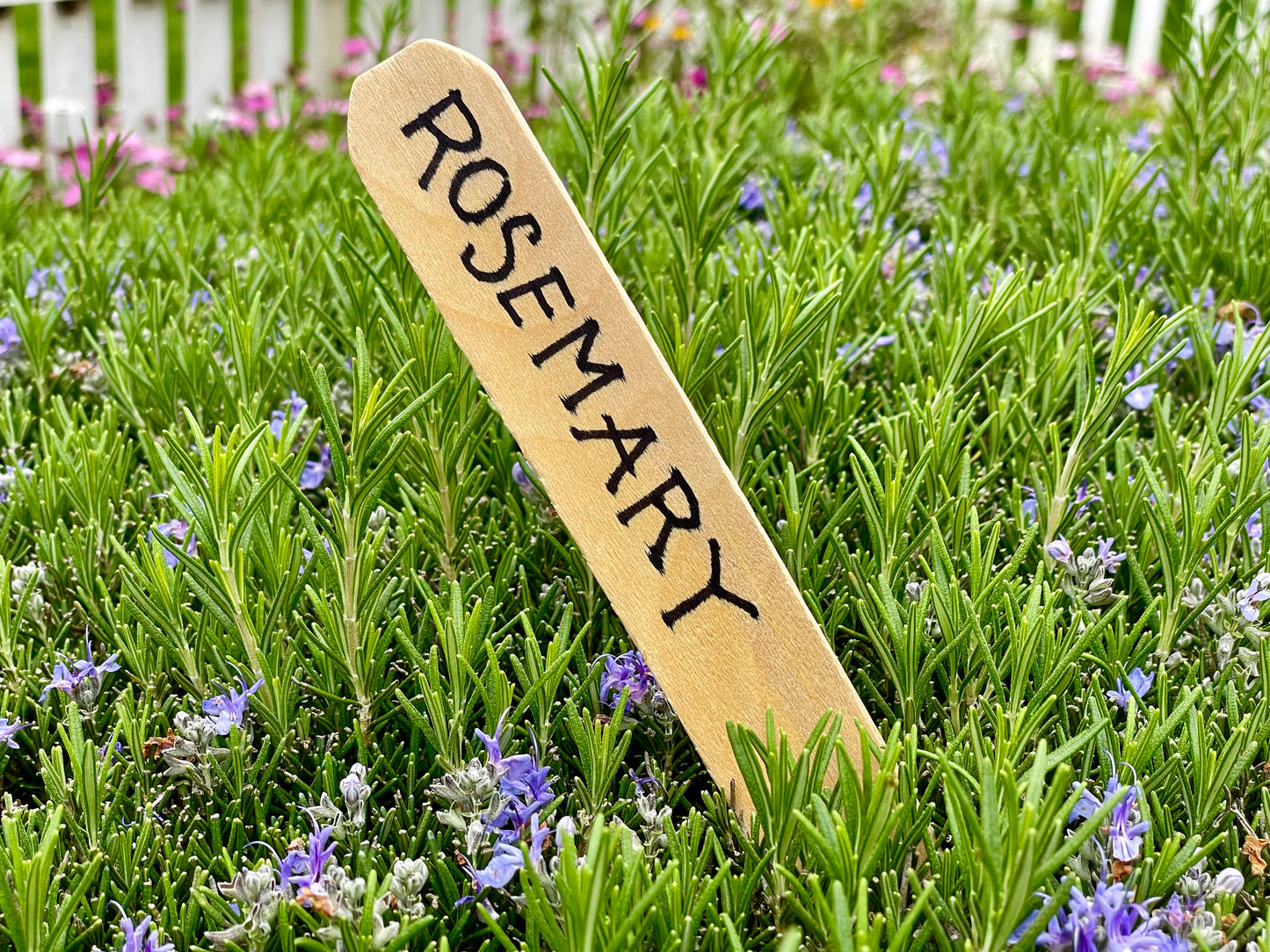 Garden Stakes