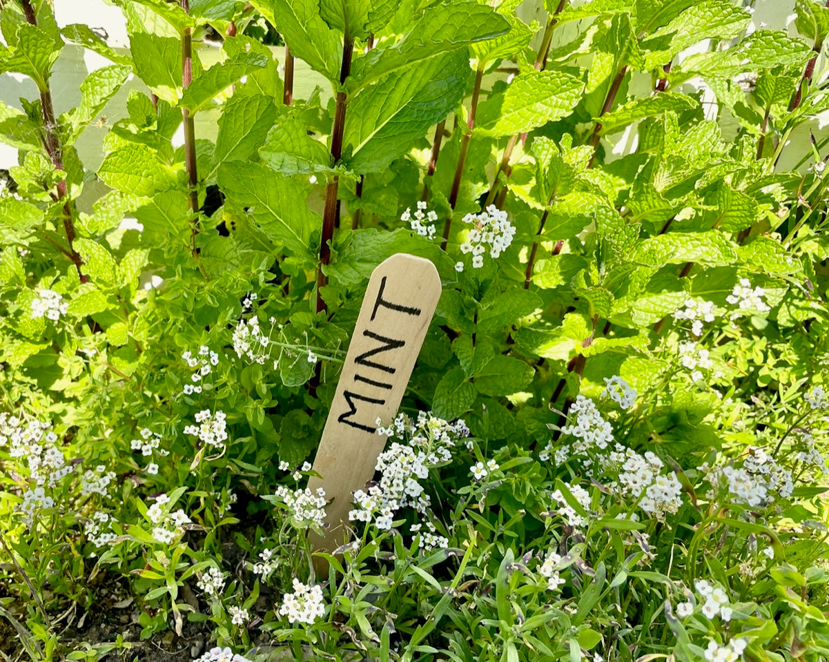 Garden Stakes
