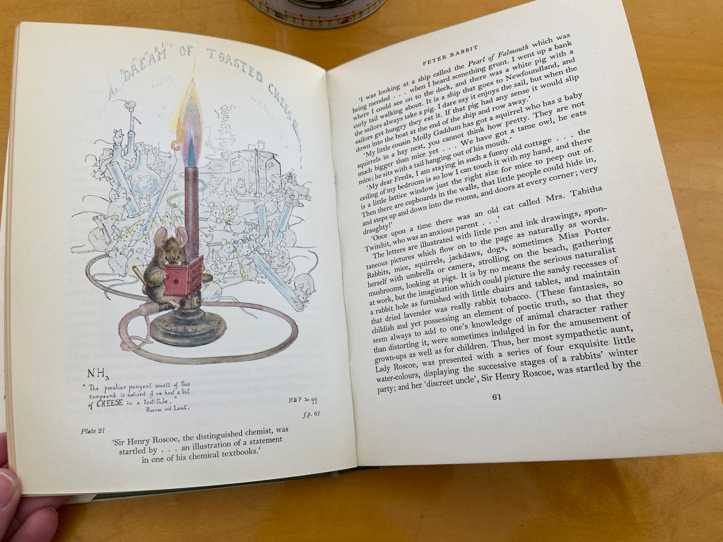 The Tale of Beatrix Potter, vintage book (1972)