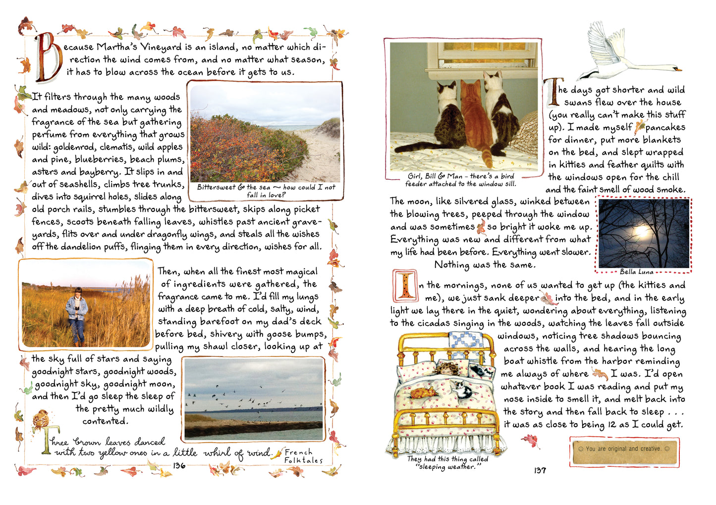 Used Copy of Martha's Vineyard, Isle of Dreams, (Out of Print Book)