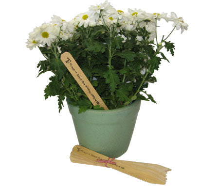 Garden Stakes