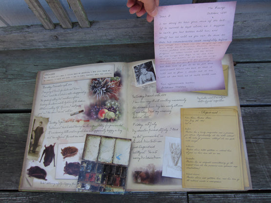 Beatrix Potter, A Journal, Vintage Book