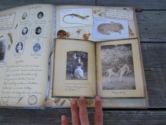 Beatrix Potter, A Journal, Vintage Book