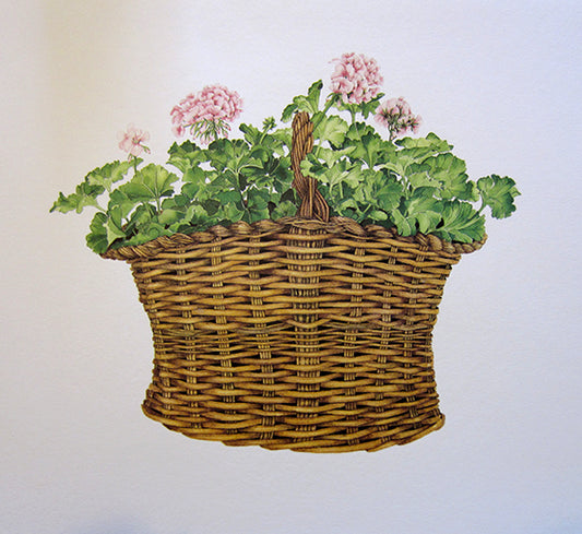 Basket of Geraniums Lithograph
