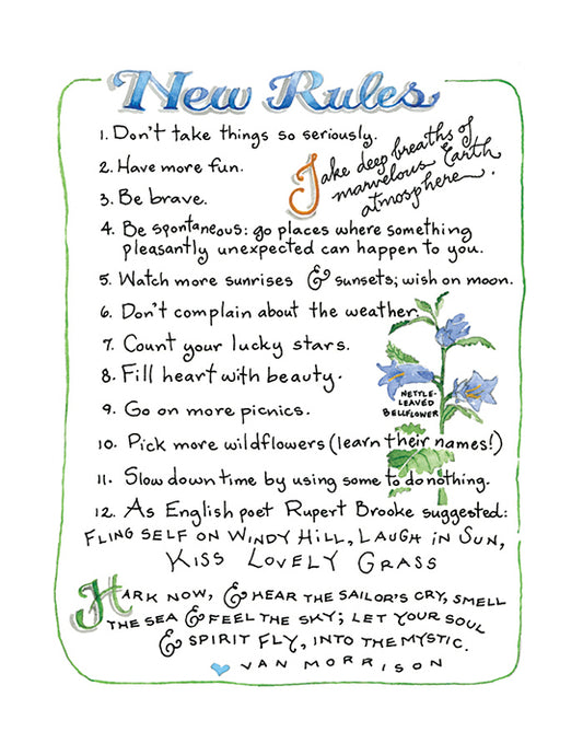 "New Rules" Print
